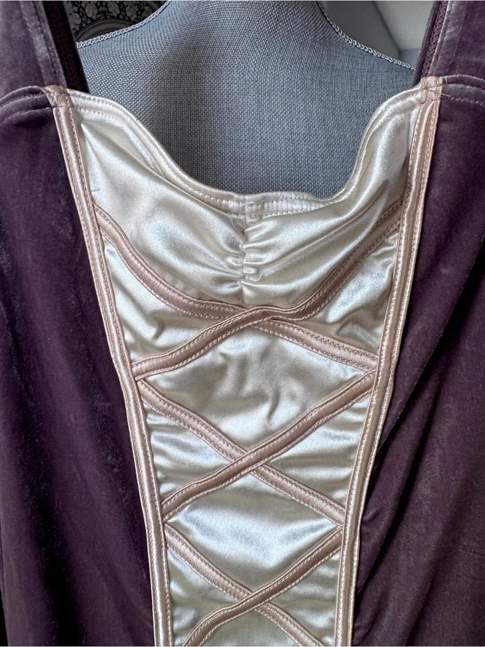 Mauve Velvet,  Cream Tulle Princess, Renaissance Costume Dress